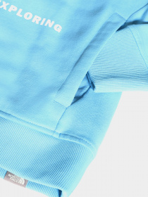 Худи The North Face Geodome модель NF0A4M7HL8P1 Фото