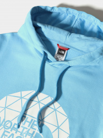 Худи и свитшоты The North Face Geodome модель NF0A4M7HL8P1 Фото