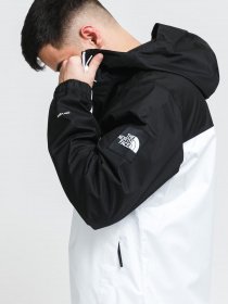 Куртка The North Face Black Box Mountain Q модель NF0A55BSFN41 Фото