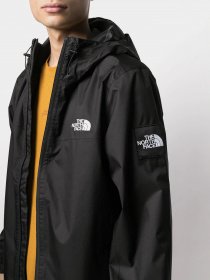 Демисезонная куртка The North Face  Box Mountain модель NF0A55BSJK31 Фото
