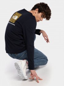 Реглан The North Face Red Box модель NF0A493L0GZ1 Фото