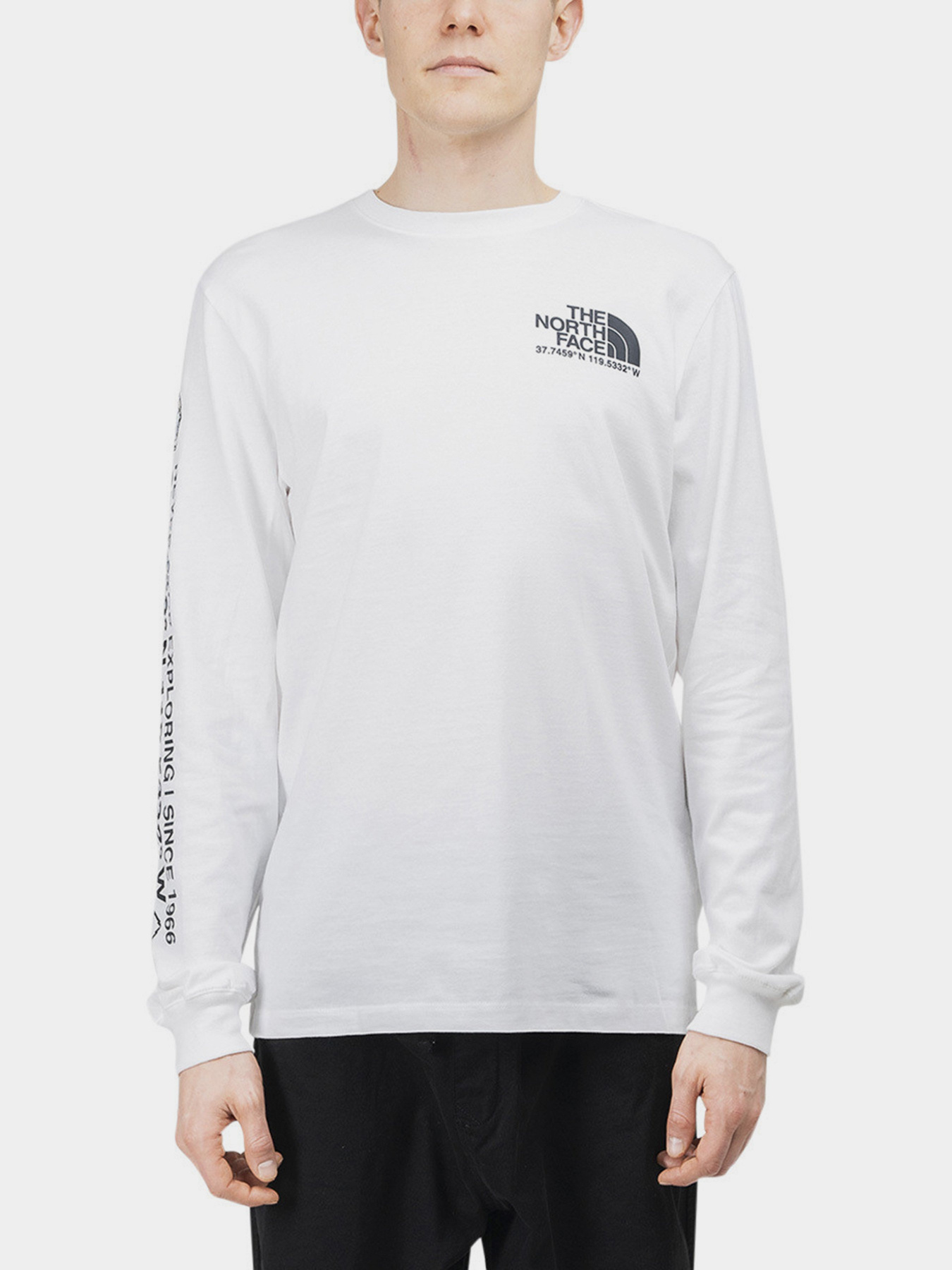 Реглан The North Face Coordinates модель NF0A55VCFN41 Фото