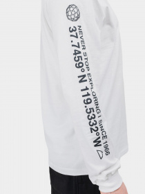 Реглан The North Face Coordinates модель NF0A55VCFN41 Фото