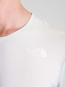 Реглан The North Face True Run модель NF0A53739B81 Фото