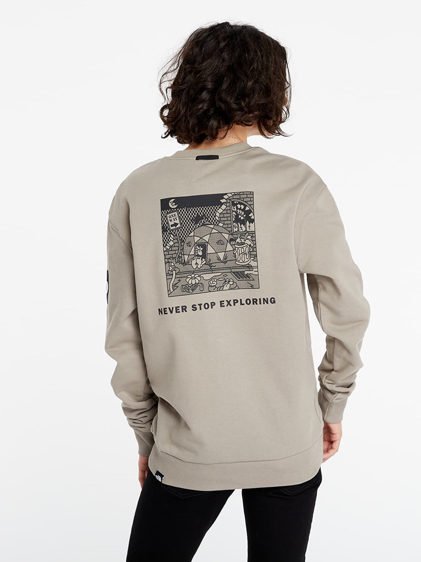 Свитшот The North Face Black Box Fleece модель NF0A557GVQ81 Фото