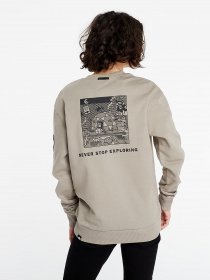 Свитшот The North Face Black Box Fleece модель NF0A557GVQ81 Фото