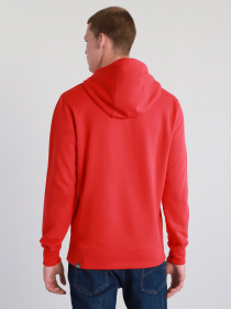 Худи The North Face Drew Peak модель NF00A0TEV341 Фото