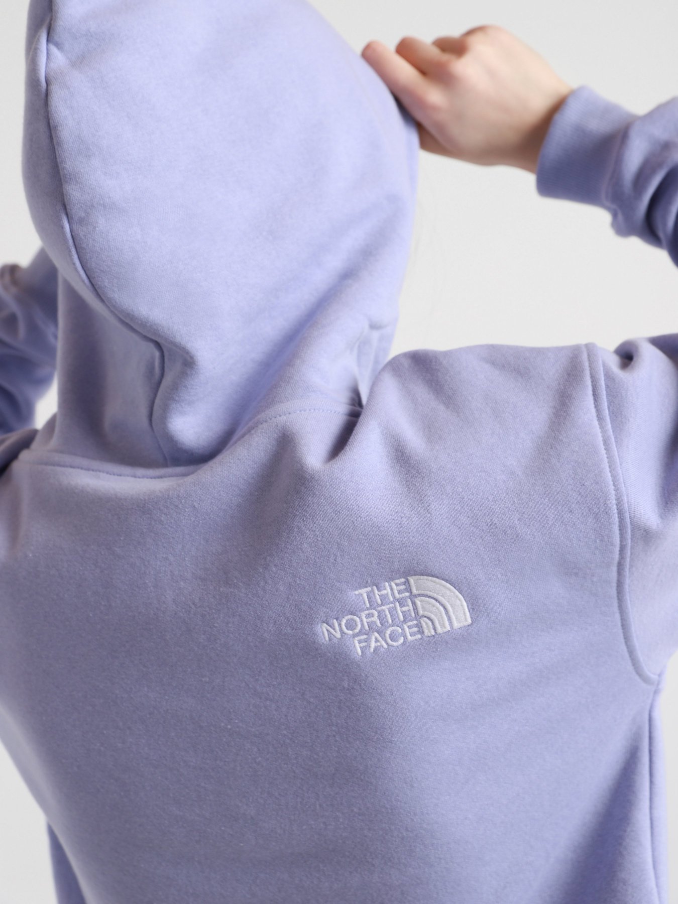 Худи The North Face Logo Crop Drop модель NF0A53BVW231 Фото