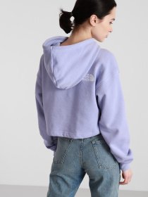 Худи The North Face Logo Crop Drop модель NF0A53BVW231 Фото