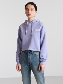 Худи The North Face Logo Crop Drop модель NF0A53BVW231 Фото