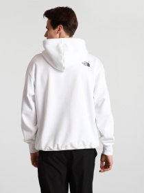 Худи The North Face Coordinates P / O модель NF0A55MWFN41 Фото