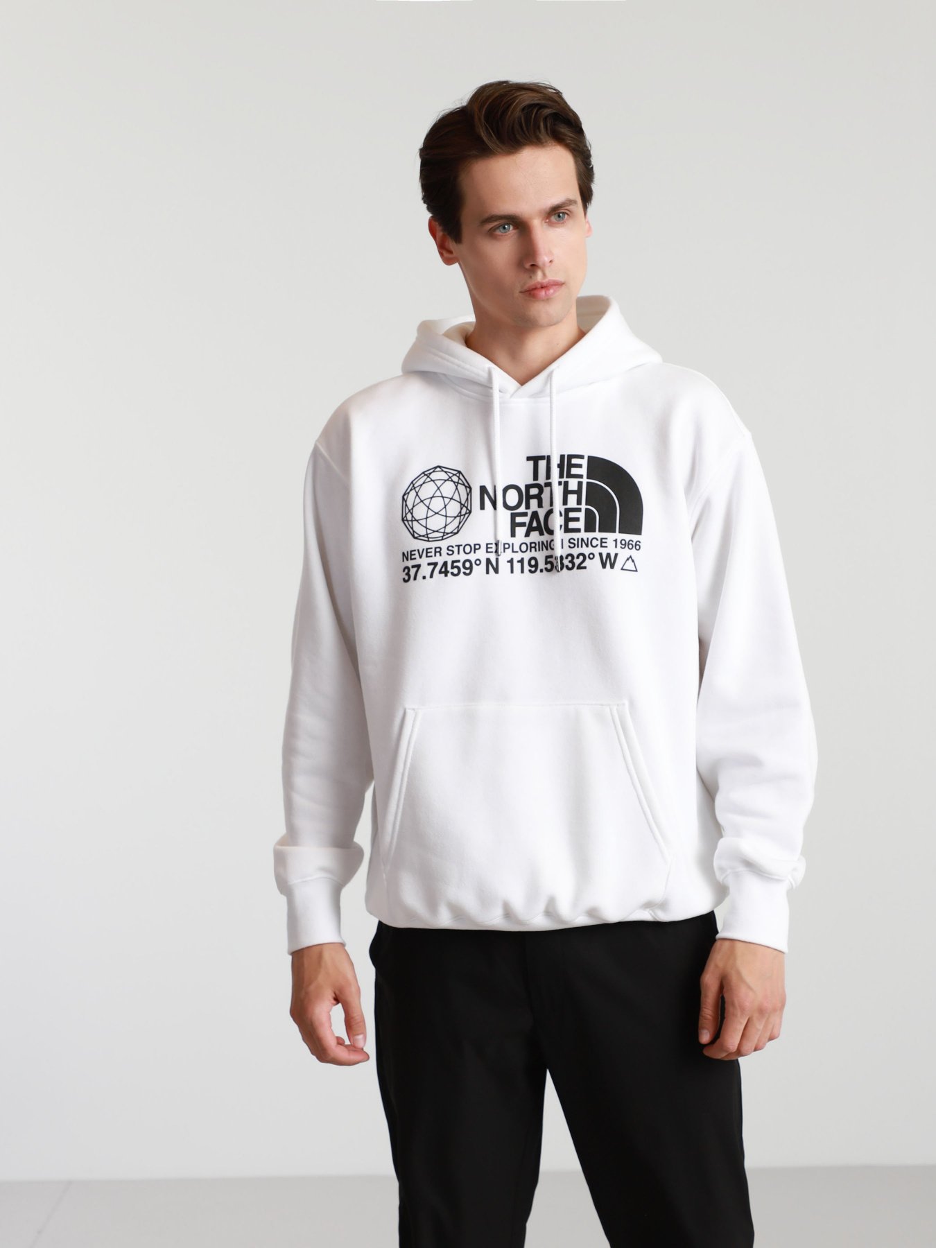 Худи The North Face Coordinates P / O модель NF0A55MWFN41 Фото