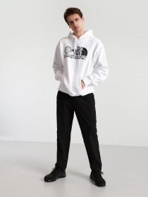 Худи The North Face Coordinates P / O модель NF0A55MWFN41 Фото