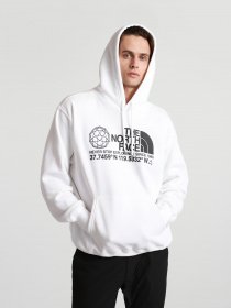 Худи The North Face Coordinates P / O модель NF0A55MWFN41 Фото