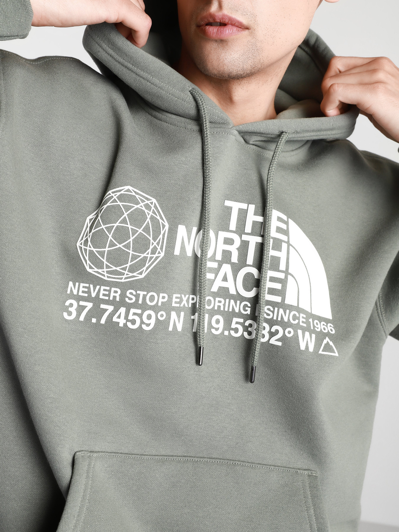Худи The North Face COORDINATES P / O модель NF0A55MWV381 Фото
