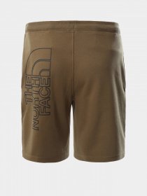 Шорти The North Face Graphic Short Light модель NF0A3S4F37U1 Фото