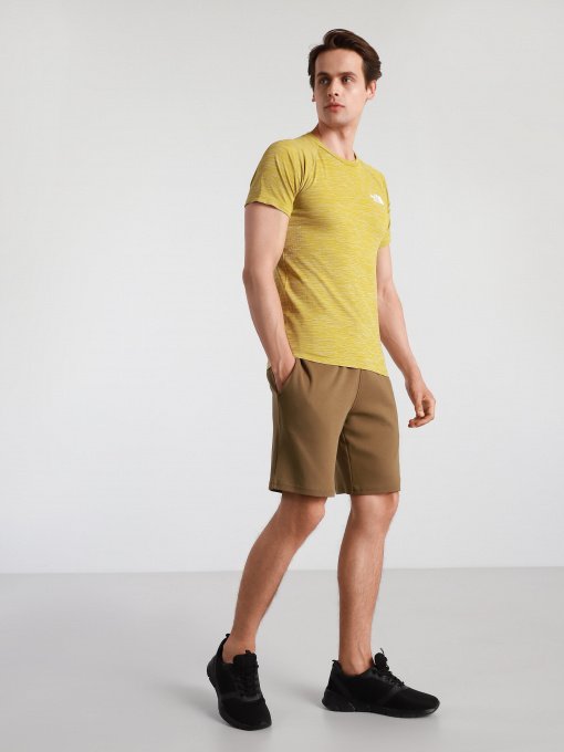 Шорты The North Face Graphic Short Light модель NF0A3S4F37U1 Фото