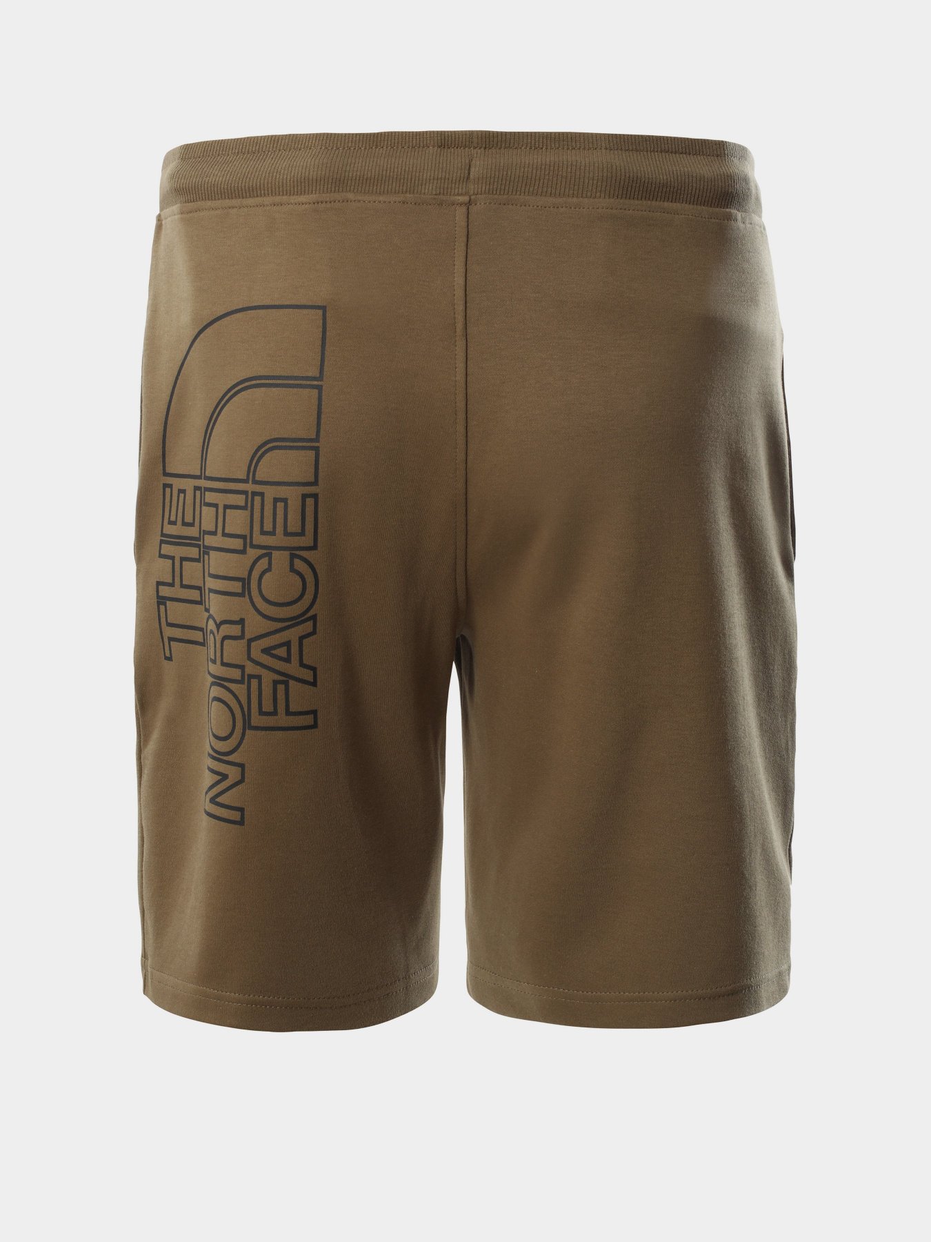Повседневные шорты The North Face Graphic Short Light модель NF0A3S4F37U1 Фото