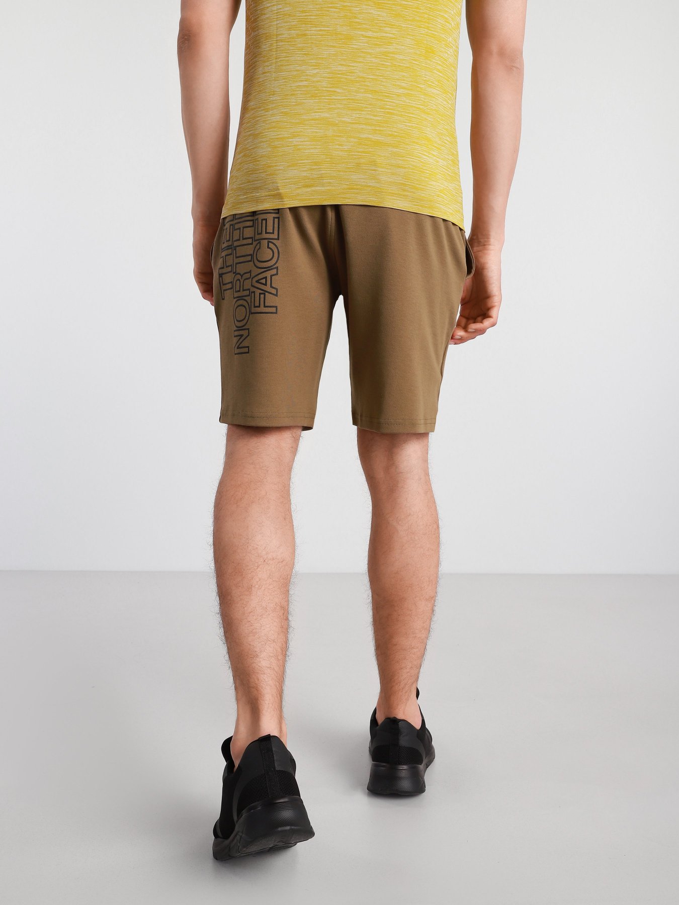 Повседневные шорты The North Face Graphic Short Light модель NF0A3S4F37U1 Фото