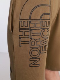 Повседневные шорты The North Face Graphic Short Light модель NF0A3S4F37U1 Фото