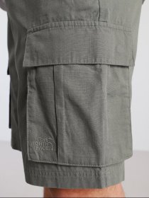 Шорты The North Face Anticline модель NF0A55B6V381 Фото