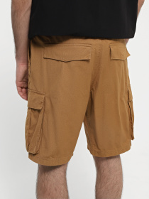 Шорты The North Face Anticline модель NF0A55B61731 Фото