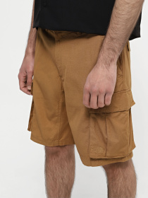 Шорты The North Face Anticline модель NF0A55B61731 Фото