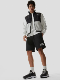 Шорти The North Face Coordinates модель NF0A55UUJK31 Фото