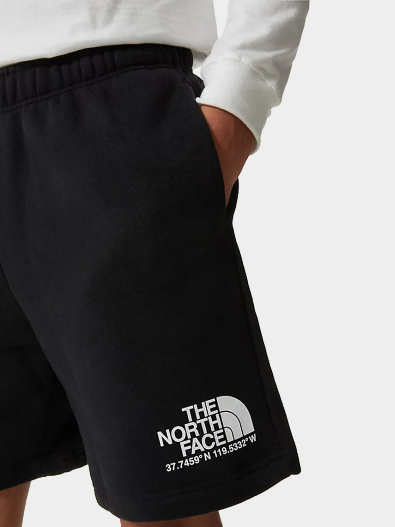 Шорты The North Face Coordinates модель NF0A55UUJK31 Фото