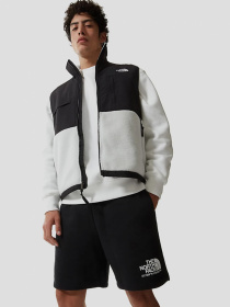 Шорты The North Face Coordinates модель NF0A55UUJK31 Фото