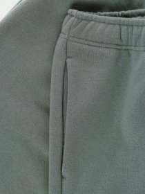 Шорты The North Face Coordinates модель NF0A55UUV381 Фото