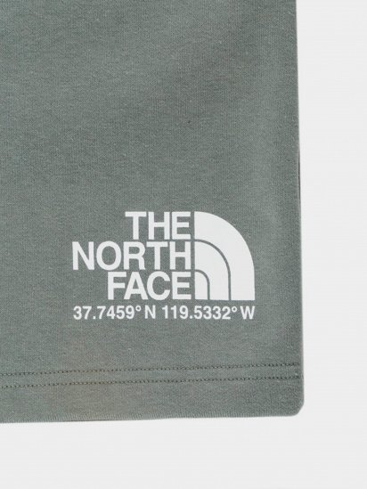 Шорти The North Face Coordinates модель NF0A55UUV381 — фото 4 - INTERTOP