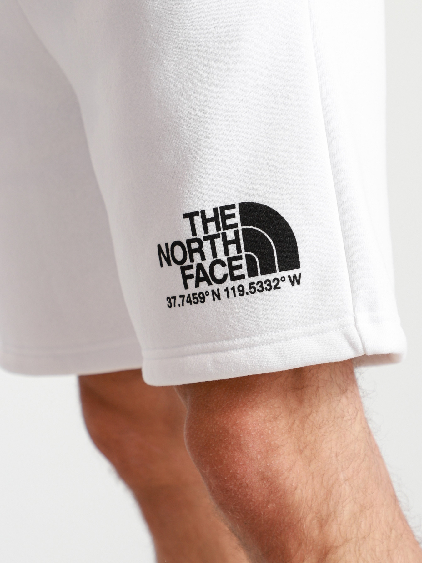 Шорты The North Face Coordinates модель NF0A55UUFN41 Фото