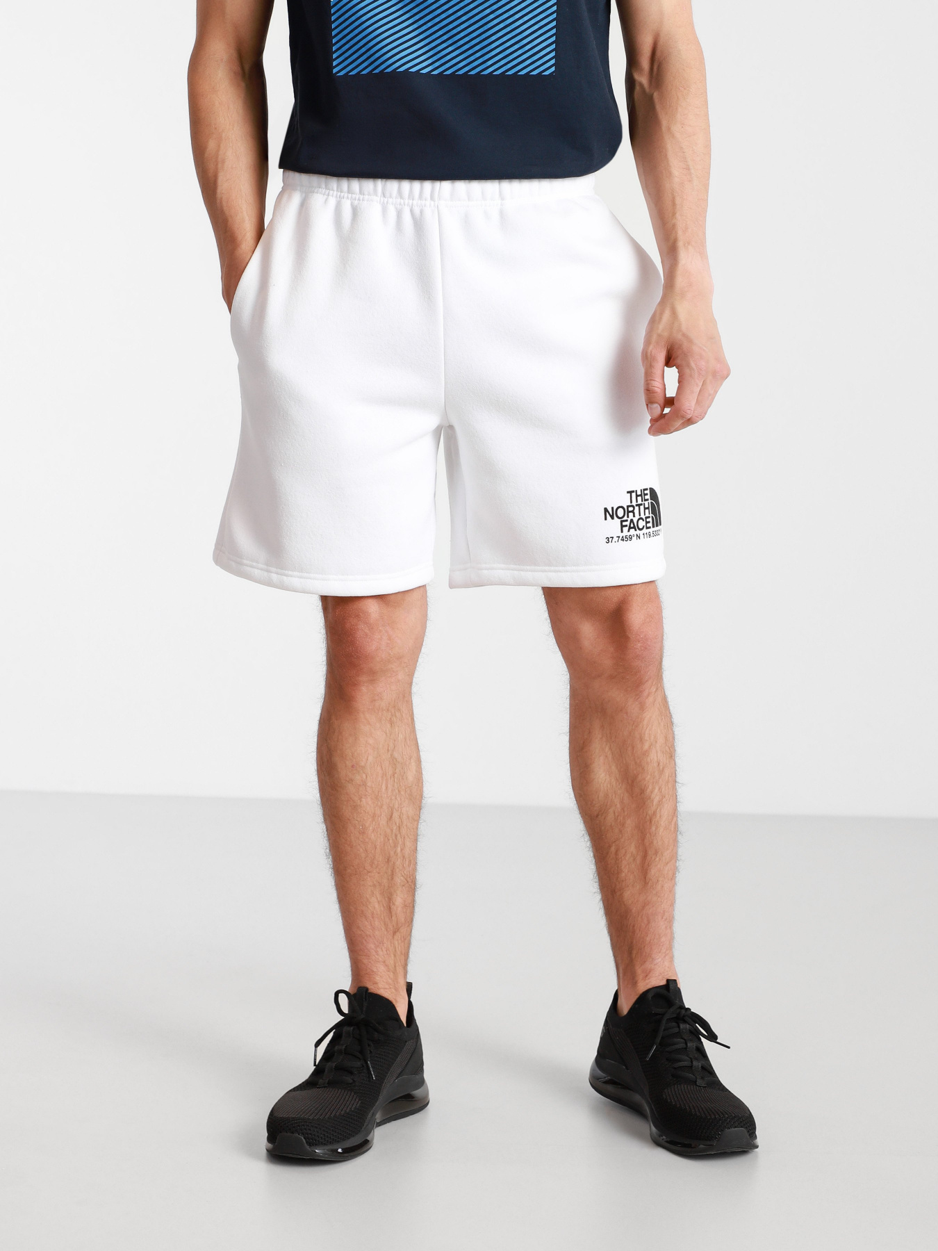 Шорти The North Face Coordinates модель NF0A55UUFN41 Фото