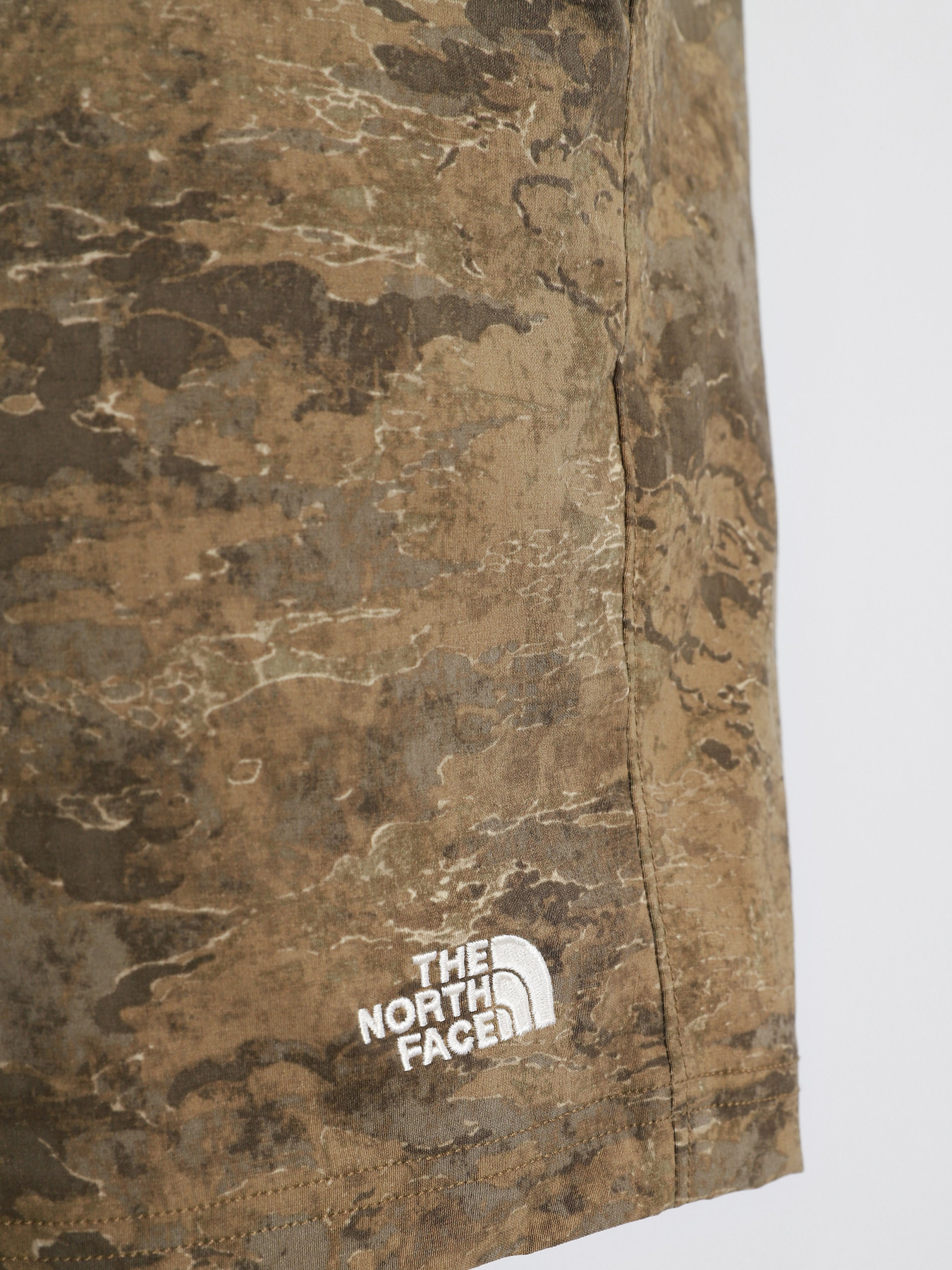 Шорти The North Face Class V модель NF0A5A5X02D1 Фото