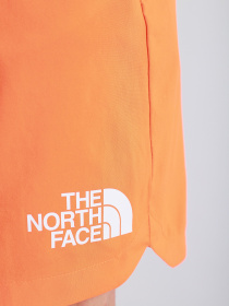Повсякденні шорти The North Face M Ma Woven модель NF0A5598BEH1 Фото