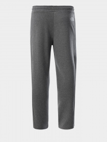 Штани спортивні The North Face Standard Pants модель NF0A4M7LDYY1 Фото