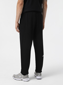 Штани спортивні The North Face NSE Light модель NF0A4T1FJK31 Фото