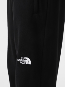 Штани спортивні The North Face NSE Light модель NF0A4T1FJK31 Фото