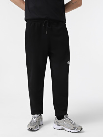 Штани спортивні The North Face NSE Light модель NF0A4T1FJK31 Фото