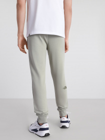 Брюки повседневные The North Face Nse Light модель NF0A4T1FHDF1 Фото