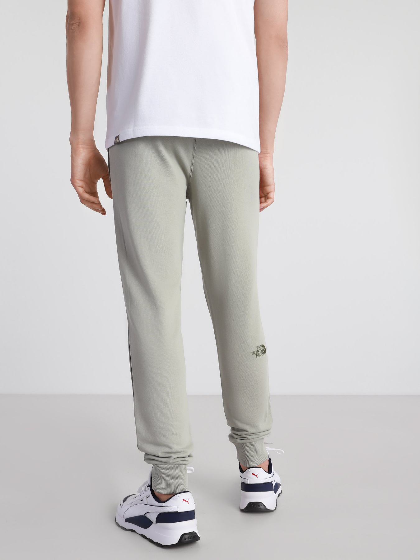 Повседневные штаны The North Face Nse Light модель NF0A4T1FHDF1 Фото