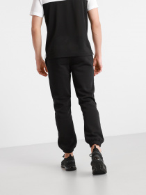 Брюки повседневные The North Face Coordinates модель NF0A55UTJK31 Фото