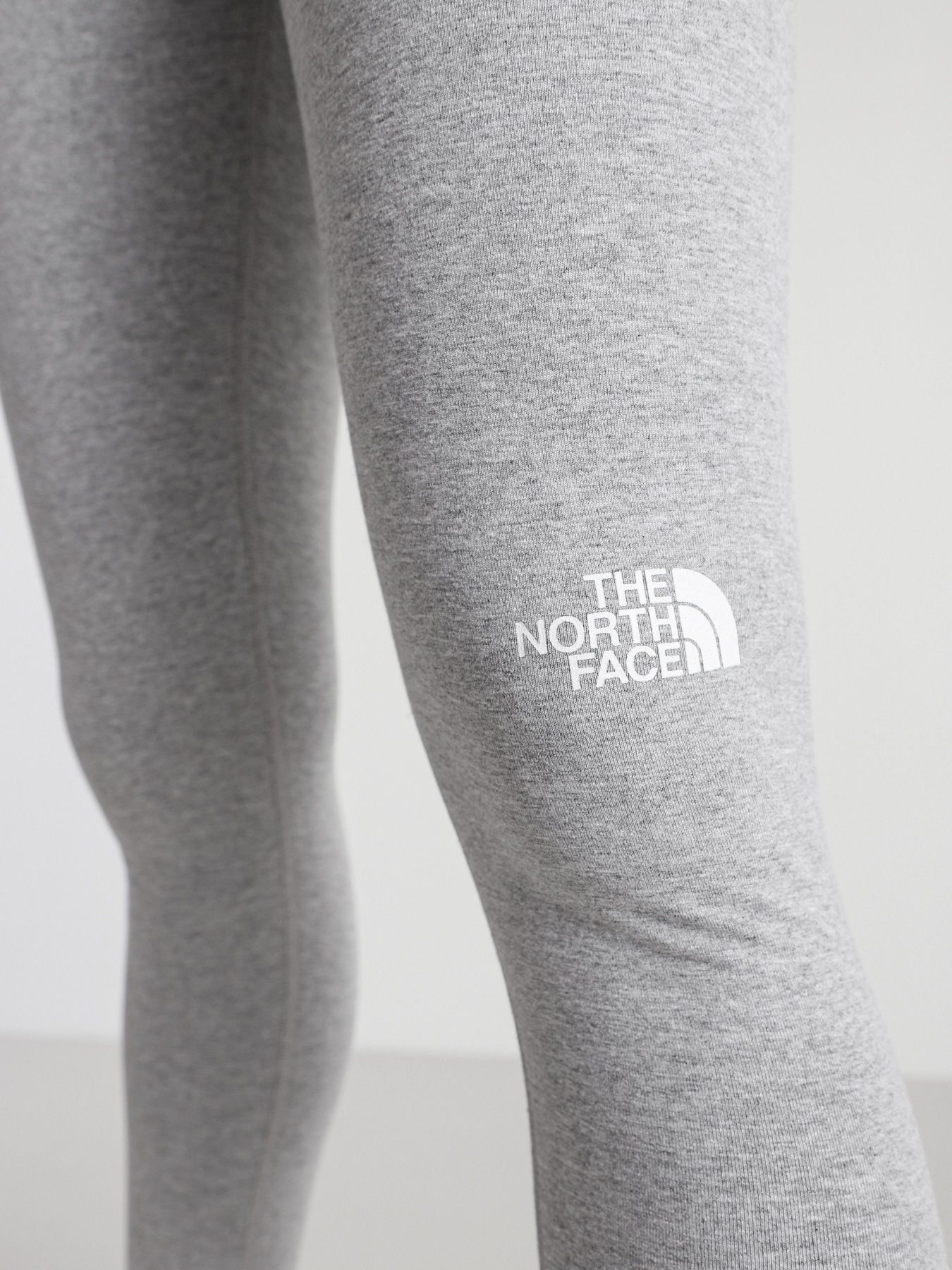 Леггинсы спортивные The North Face Cotton модель NF0A5584DYX1 Фото