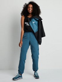 Майка The North Face Easy Tank модель NF0A4SYEJK31 Фото