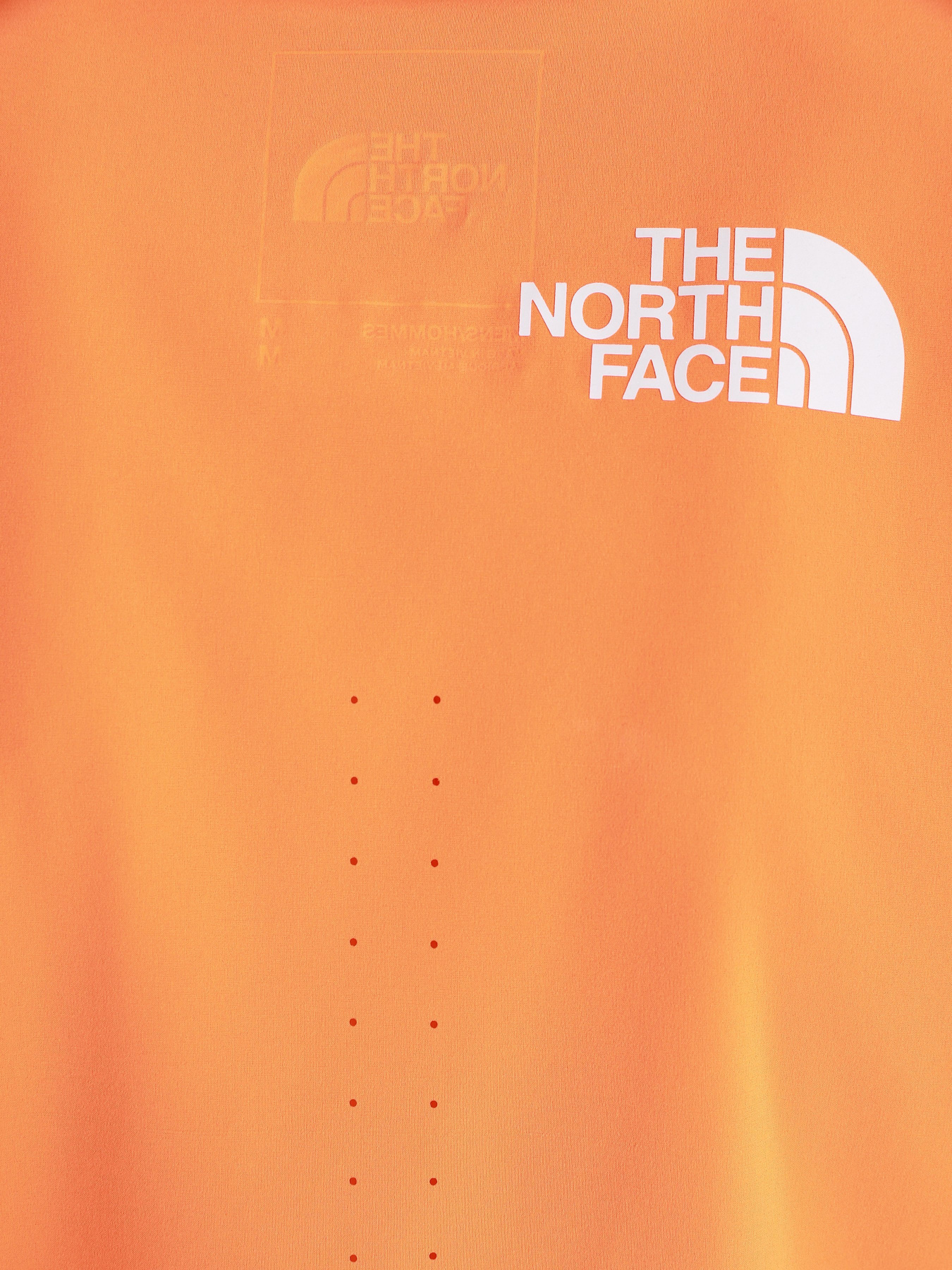 Майка спортивная The North Face Flight Weightless модель NF0A536ZBEH1 Фото