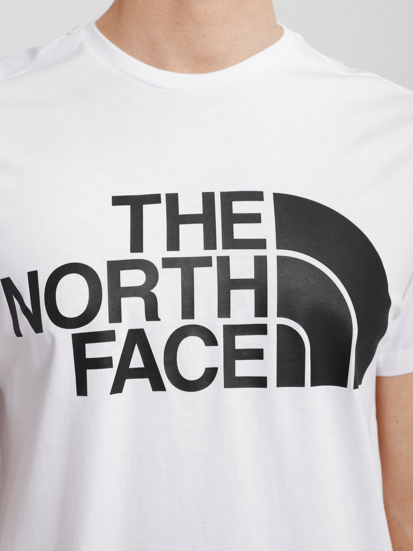 Футболка The North Face Standard Ls Basic Logo модель NF0A4M7XFN41 Фото