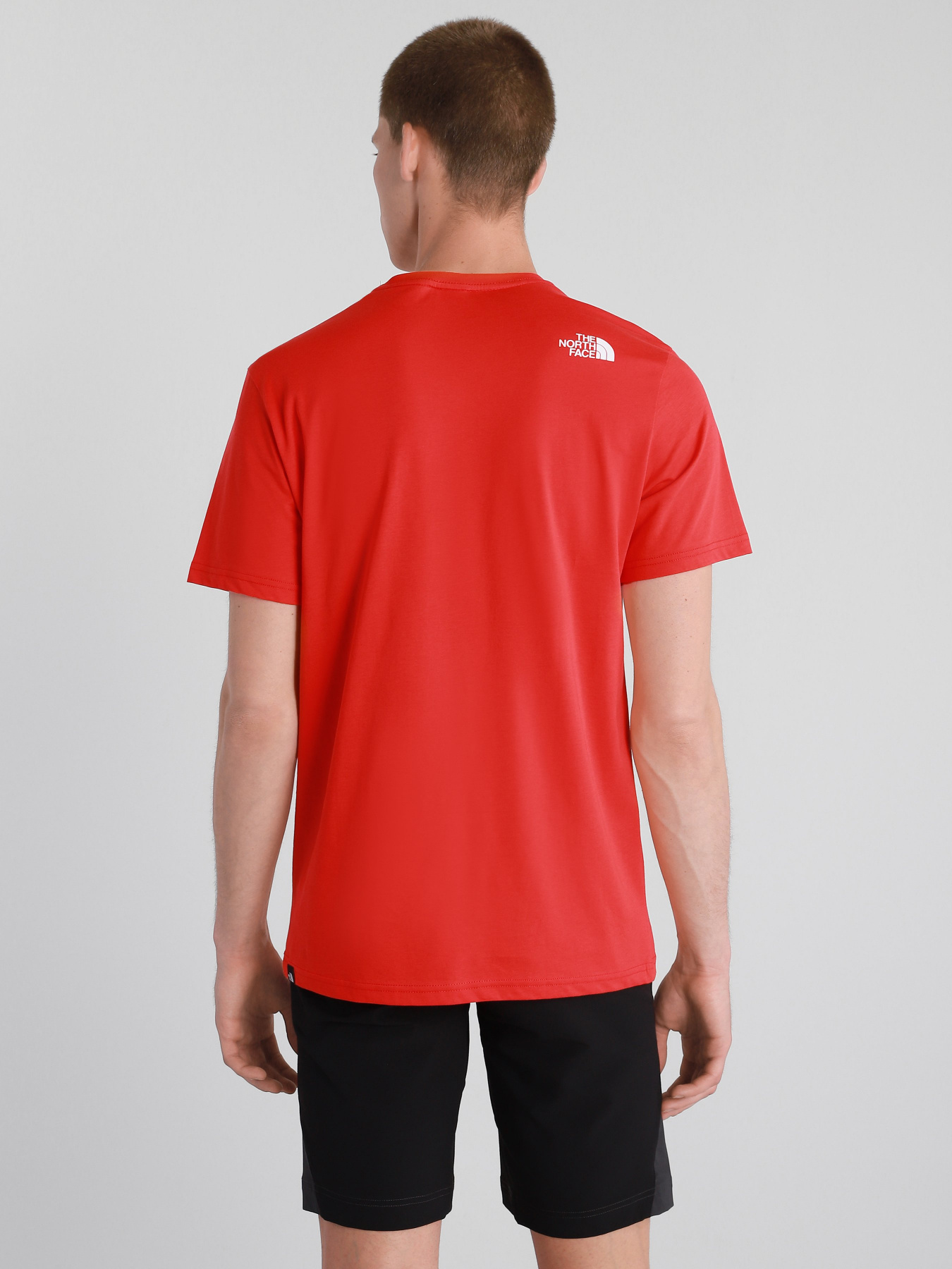 Футболки і поло The North Face Standard Ls Basic Logo модель NF0A4M7XV331 Фото