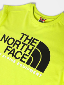 Футболки и поло The North Face S/S Fine Alpine Tee 2 модель NF0A4M6NJE31 Фото
