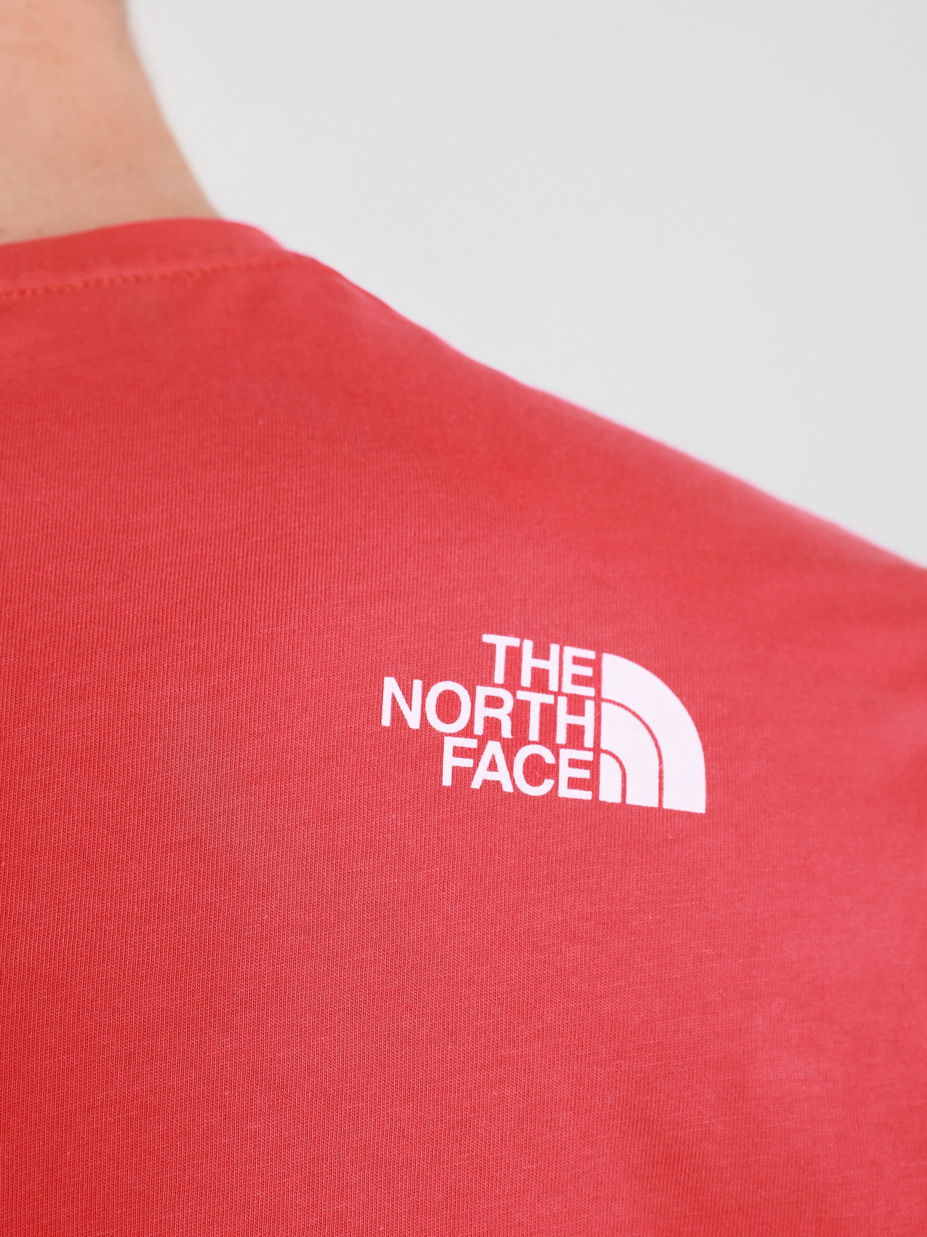 Футболки і поло The North Face RUST 2 модель NF0A4M68V341 Фото